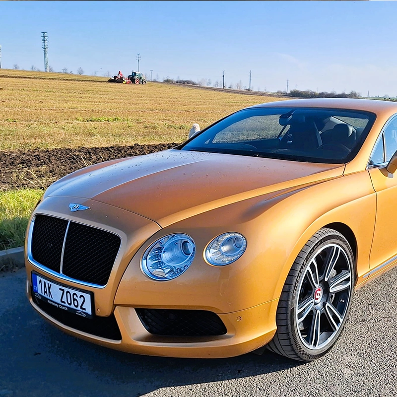 Pronájem aut s řidičem